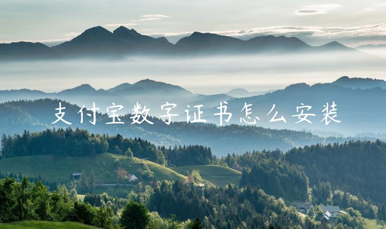 支付寶數(shù)字證書怎么安裝